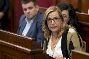 PPCS: “El PSOE segueix sense adjudicar les subvencions contra el mosquit després de retallar-les”