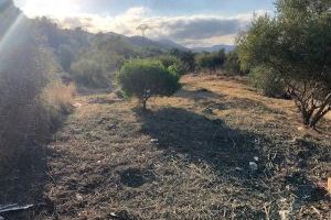 Las Brigadas Forestales inician acciones de prevención contra los incendios en zonas cercanas a urbanizaciones de Betxí