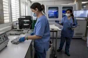 COVID-19 a Alacant: 293 contagis, cinc brots i un mort