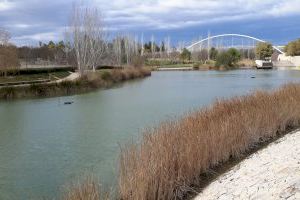 L'Ajuntament de València i la Fundació Limne col·laboren amb una campanya d'educació ambiental al Parc de Capçalera