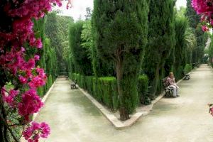 Limitades a quatre persones les bodes als Jardins de Monforte de València