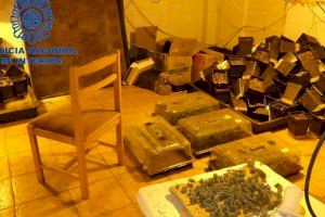 Detinguts dos okupes a Manises que cultivaven marihuana