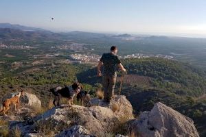 La Diputació de Castelló concedeix ajudes a 75 vedats de caça de la província sense ànim de lucre
