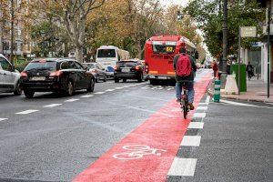 Denuncien la perillositat del nou carril bici a la Gran Via