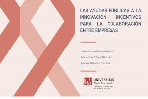 Las ayudas públicas a la innovación incentivan la colaboración entre empresas, según un informe de la UMH