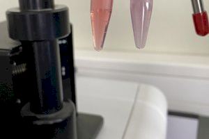 Investigadors valencians patenten un mètode per a la detecció precoç de diversos tipus de càncers