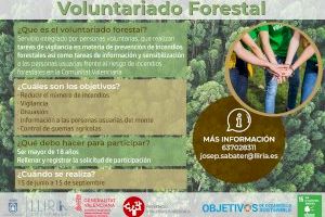 Llíria posa en marxa una nova edició del programa de voluntariat ambiental