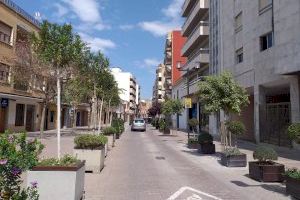 El Ayuntamiento de Alaquàs ajardina los alcorques y macetas del municipio