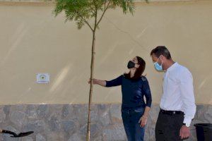 El Ayuntamiento de Elche se suma a la iniciativa “Un árbol por Europa” para reafirmar su compromiso por la lucha contra el cambio climático