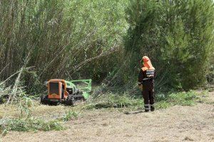 Riba-roja recuperará la vegetación de Ribera junto al río Turia con la ayuda de la Diputació