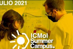 L’Institut de Ciència Molecular posa en marxa el seu Summer Campus destinat a estudiants de Grau