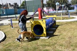 Cs Torrevieja solicita al Ayuntamiento la creación de parques caninos