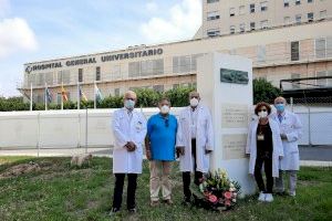 El Hospital General de Alicante realiza ocho trasplantes en 72 horas