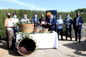 Mazón reivindica la protección del sector vitivinícola como patrimonio medioambiental de la provincia