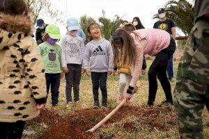 Vila-real reactiva l'Aula Viva Naturalment per a afavorir l'aprenentatge a l'aire lliure i el respecte pel medi ambient