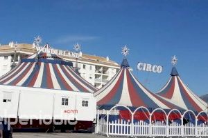 ¿Circs sense animals? Espanya porta a Europa un milió de signatures per a la seva prohibició
