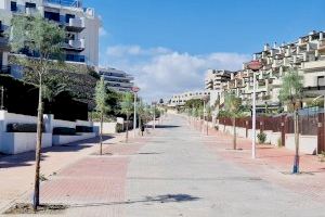 El Ayuntamiento de Elche da un nuevo impulso al Plan Municipal de reposición de Arbolado en barrios y pedanías
