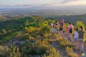 Castelló realçarà aquest dissabte la conservació del seu entorn natural amb una ruta i plantació en el Paratge Municipal de la Magdalena