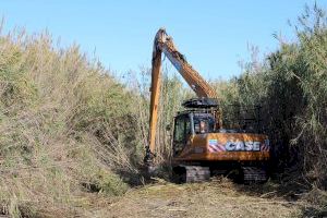 El Ayuntamiento de Sagunto y la Conselleria de Medio Ambiente invierten casi 50.000 euros en la eliminación de cañares de las acequias del Rey y de Gabau
