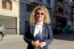 La portavoz de Ciudadanos en la Diputación, Cristína Fernández