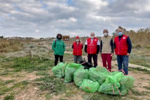 L'Ajuntament de Sueca i Creu Roja duen a terme una jornada de neteja de residus junt a les dunes de la platja de Motilla