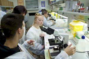 Més de 1.000 estudiants de 4t de l’ESO i Batxillerat de tota la província tornen als laboratoris de la UA