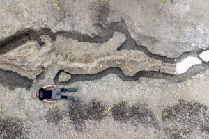 Així és el macro fòssil descobert al Regne Unit que mesura 10 metres