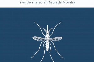 Actuaciones de control de plagas durante el mes de marzo en Teulada Moraira