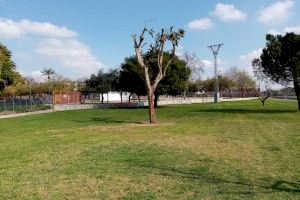 L'Ajuntament d'Alaquàs planta a l'Arbereda Sud dos arbres donats per un veí del municipi