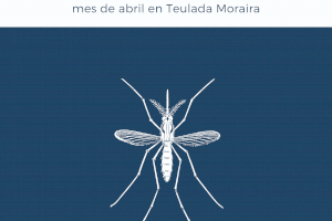 Actuaciones de control de plagas durante el mes de abril en Teulada Moraira