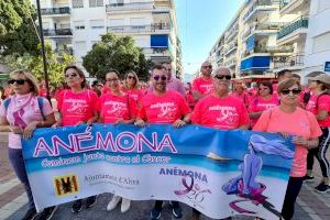 Prop de 1.000 persones tinyen de rosa Altea en la tradicional marxa d'Anémona