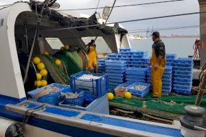 COINCOPESCA es reuneix amb la Secretaria General de Pesca del Govern d'Espanya per analitzar els elevats costos que estan ofegant el sector