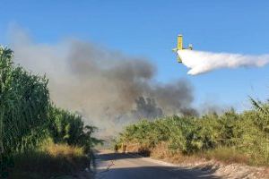Estabilitzat l'incendi forestal declarat a la Font Salada d'Oliva