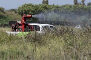 La Diputació planta batalla contra els mosquits en 30 municipis de Castelló