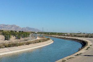 Els agricultors alerten: El camp no aguantarà sis mesos més sense aigua del Tajo-Segura