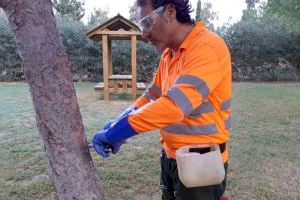 Catarroja actúa para prevenir la procesionaria del pino