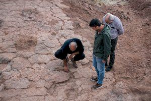 Descubren huellas de dinosaurio cerca de Morella