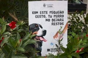 Onda conciencia a los propietarios de mascotas para mantener las calles limpias de heces y orines