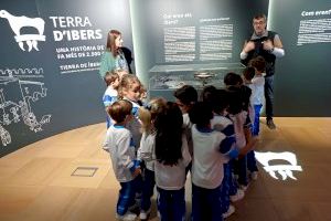 La cílix i el tresoret reben 3.317 visitants dins de l'exposició «Terra d’ibers»