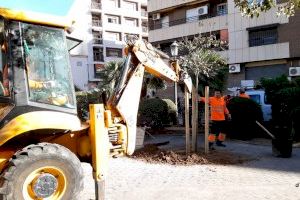 El Servici de Jardineria Sostenible de l’Ajuntament planta en menys d’un mes 375 arbres en 32 barris de València