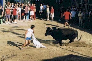 Quants Miuras han visitat els ‘bous al carrer’ de Borriana?