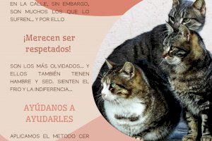 La Sociedad Protectora de Animales de Burjassot invita a la ciudadanía a unirse al cuidado de las colonias felinas