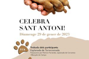 La benedicció d’animals de Sant Antoni torna a Dénia després de dos anys