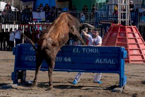Pascua Taurina 2023: estas son las ganaderías protagonistas en Onda
