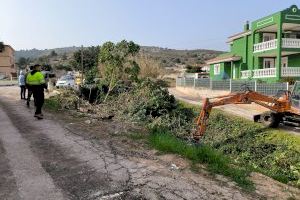 El Ayuntamiento de Peñíscola avanza en los trabajos de desbroce de los principales barrancos de la población