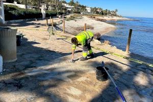 Actuacions de millora en les platges de Dénia: noves passarel·les i reparació del passeig de les Rotes