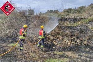 Els bombers frenen dos incendis forestals aquesta nit a Biar i Castalla