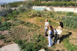 Almenara colabora con el proyecto educativo del huerto ecológico del IES Almenara