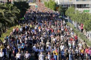 Alacant es prepara per a la Santa Faç: Quan se celebra la romeria més multitudinària de la província?