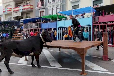 Bous al carrer a Alacant: diverses poblacions celebren actes taurins a l'abril i maig